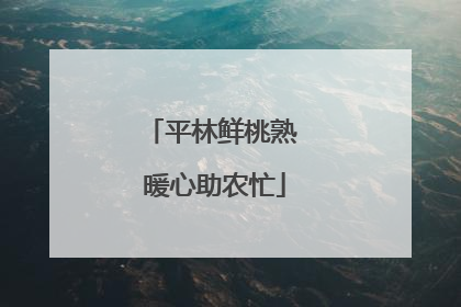 平林鲜桃熟 暖心助农忙
